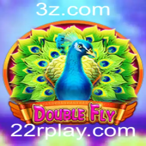 Explorando o Mundo de DoubleFly: Regras e Estratégias